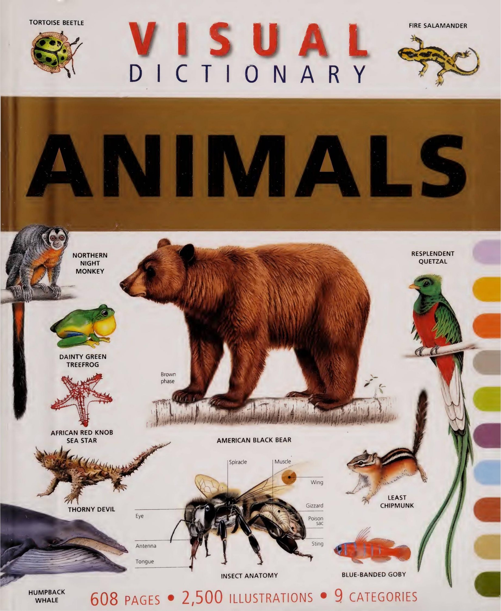 Visual dictionary animals