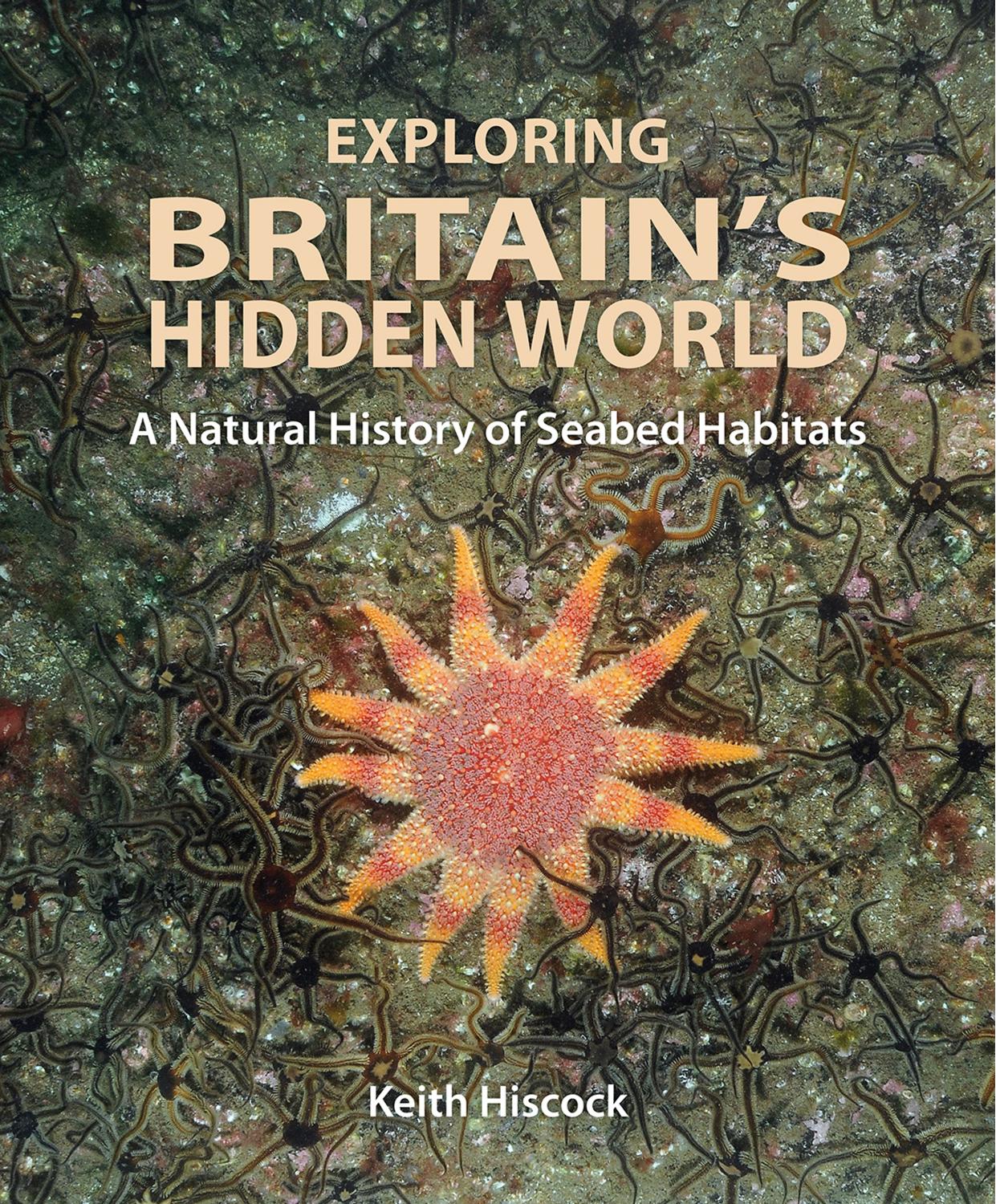 Exploring Britain's Hidden World: A Natural History of Seabed Habitats