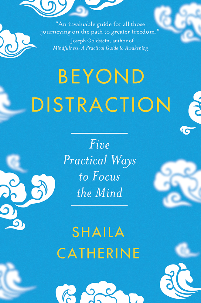 Beyond Distraction