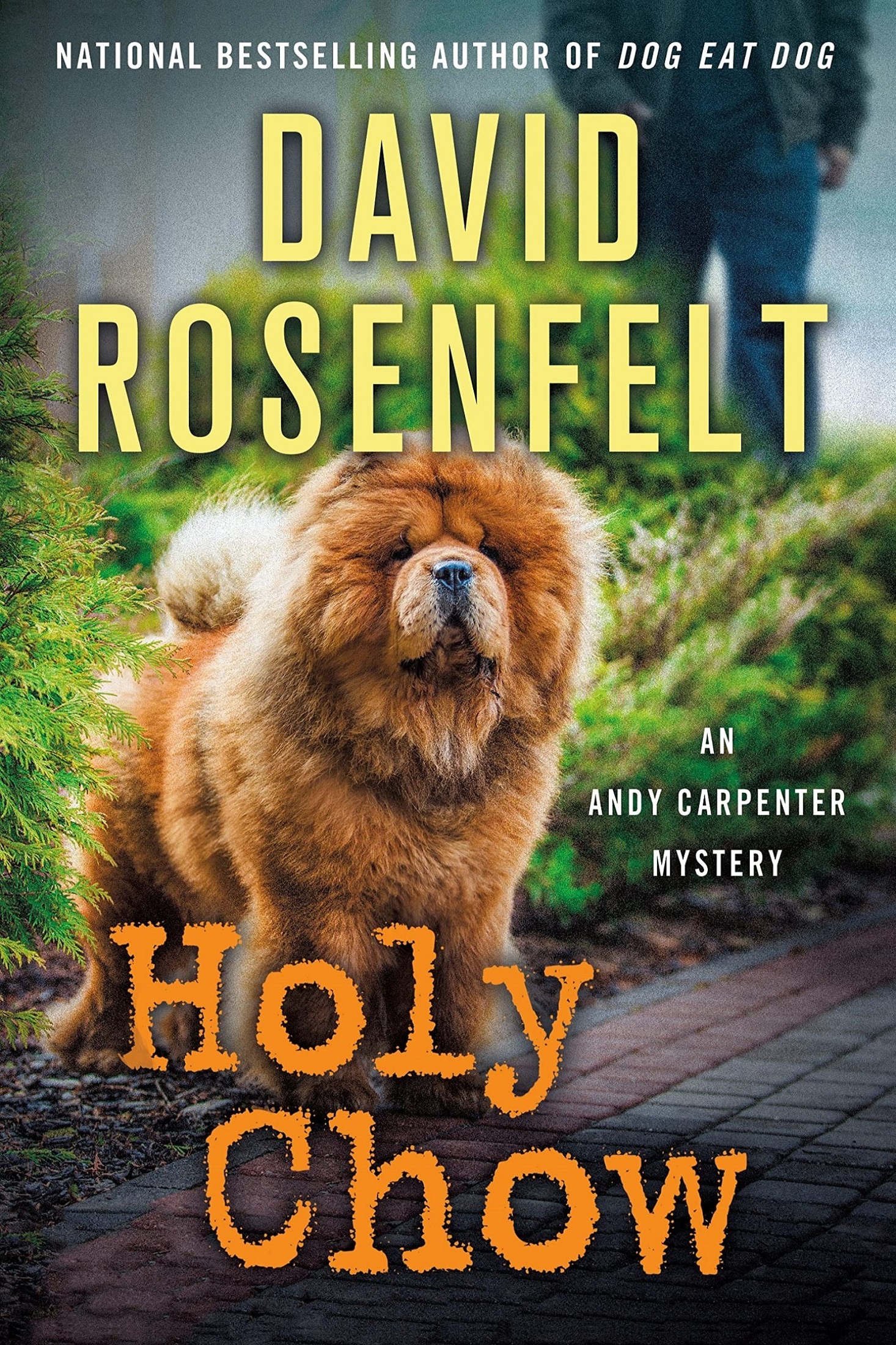 Holy Chow: An Andy Carpenter Mystery