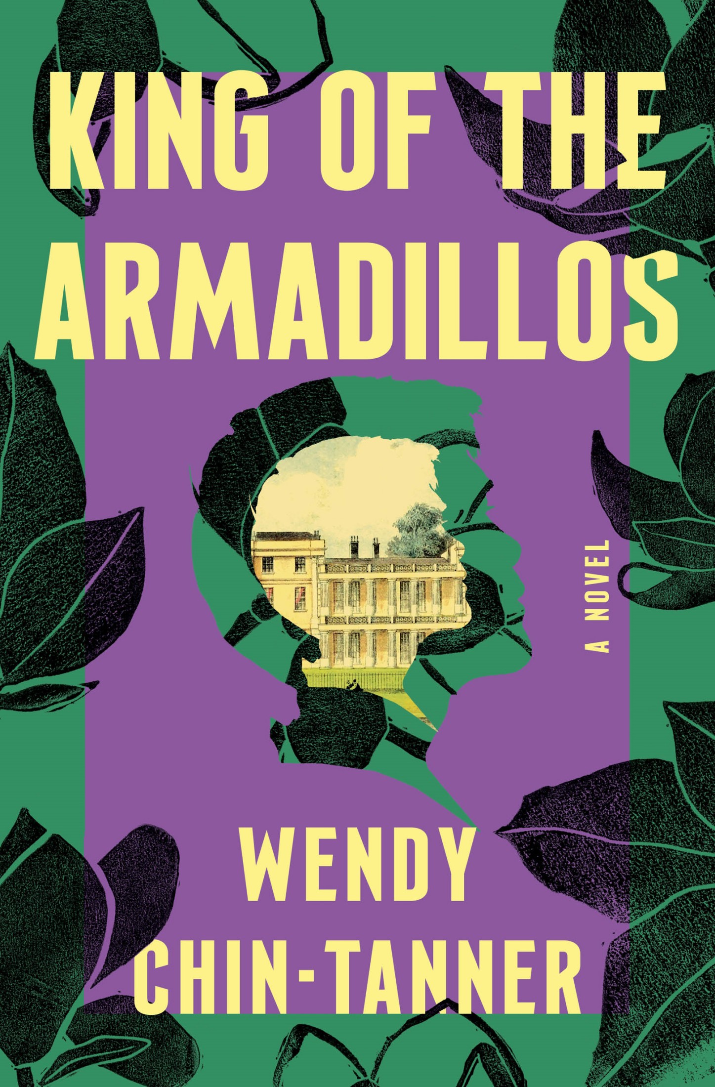 King of the Armadillos: a Novel