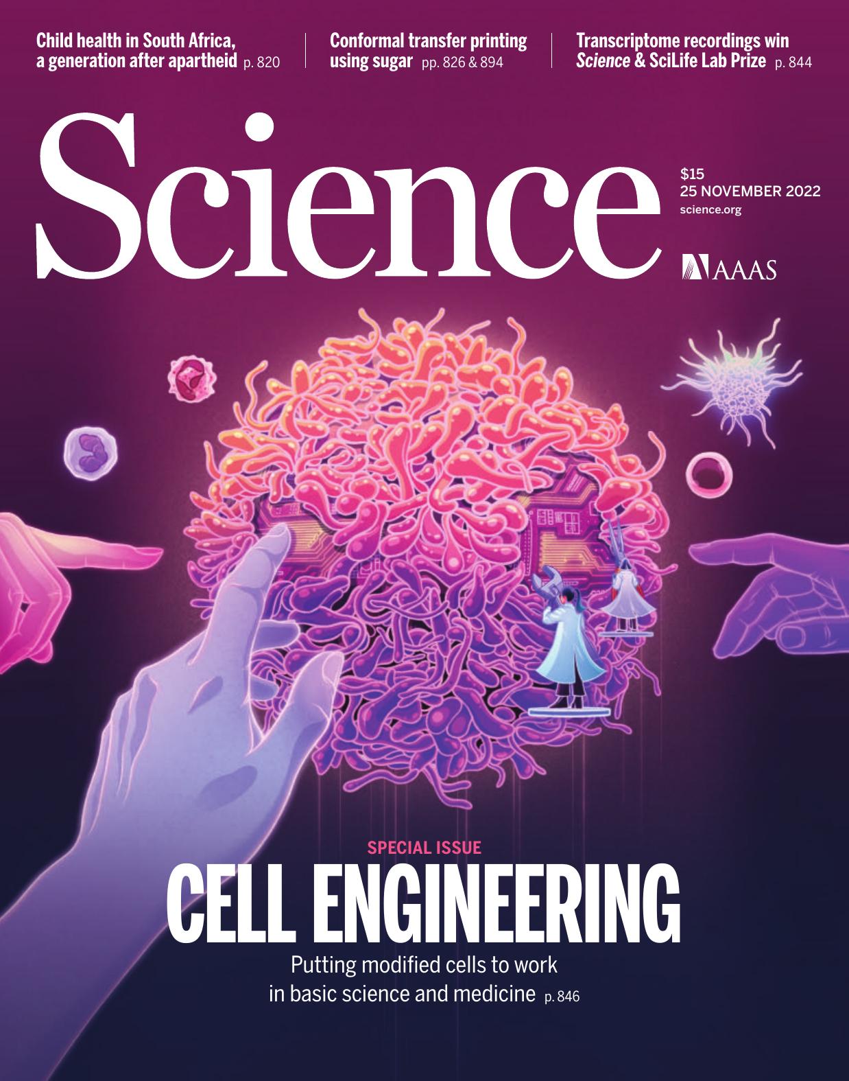 Science Magazine, Issue 6622 (November 25, 2022)