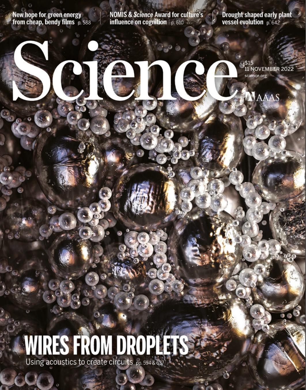 Science Magazine, Issue 6620 (November 11, 2022)