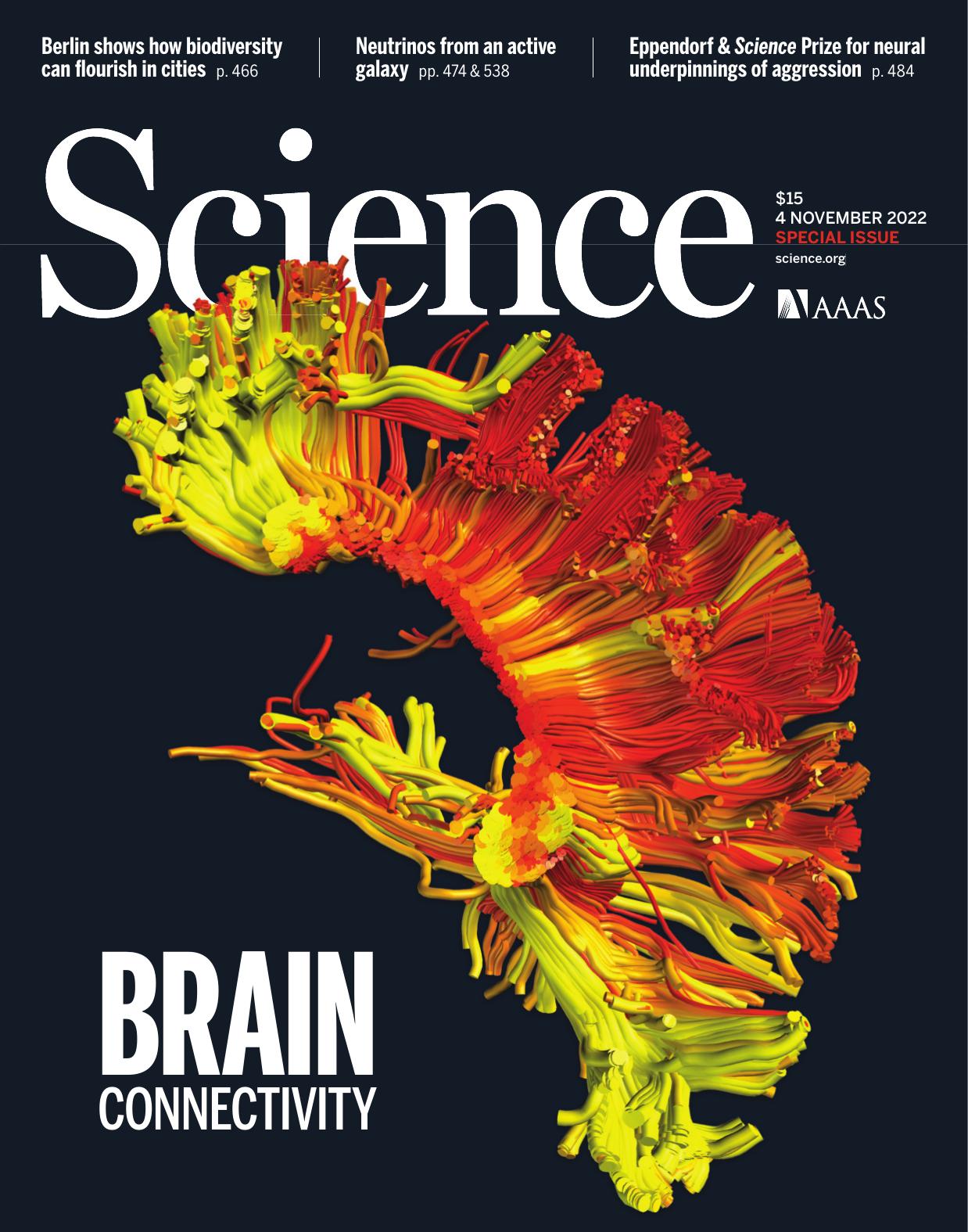 Science Magazine, Issue 6619 (November 4, 2022)