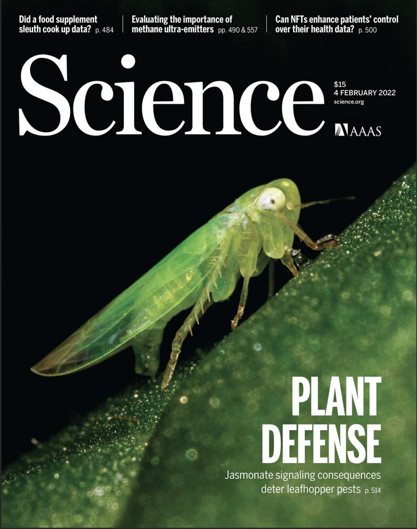 Science Magazine, Issue 6580 (February 4, 2022)