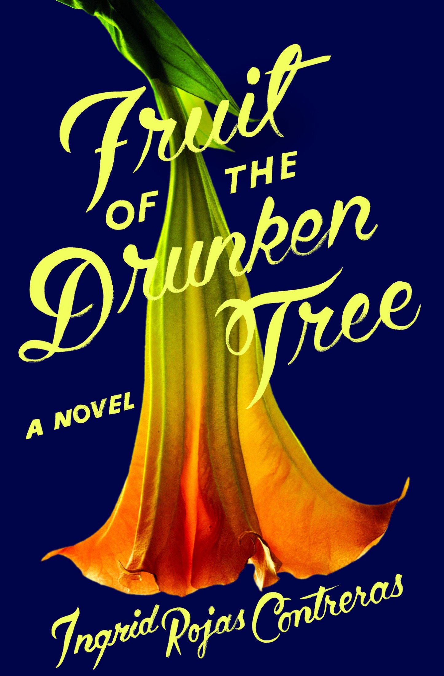 Fruit of the Drunken Tree: A Novel