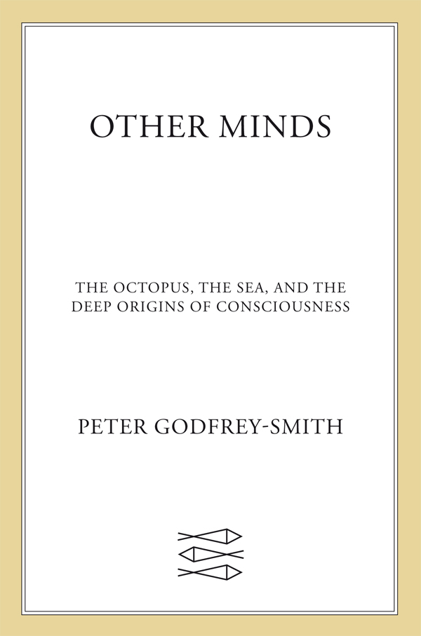 Other Minds