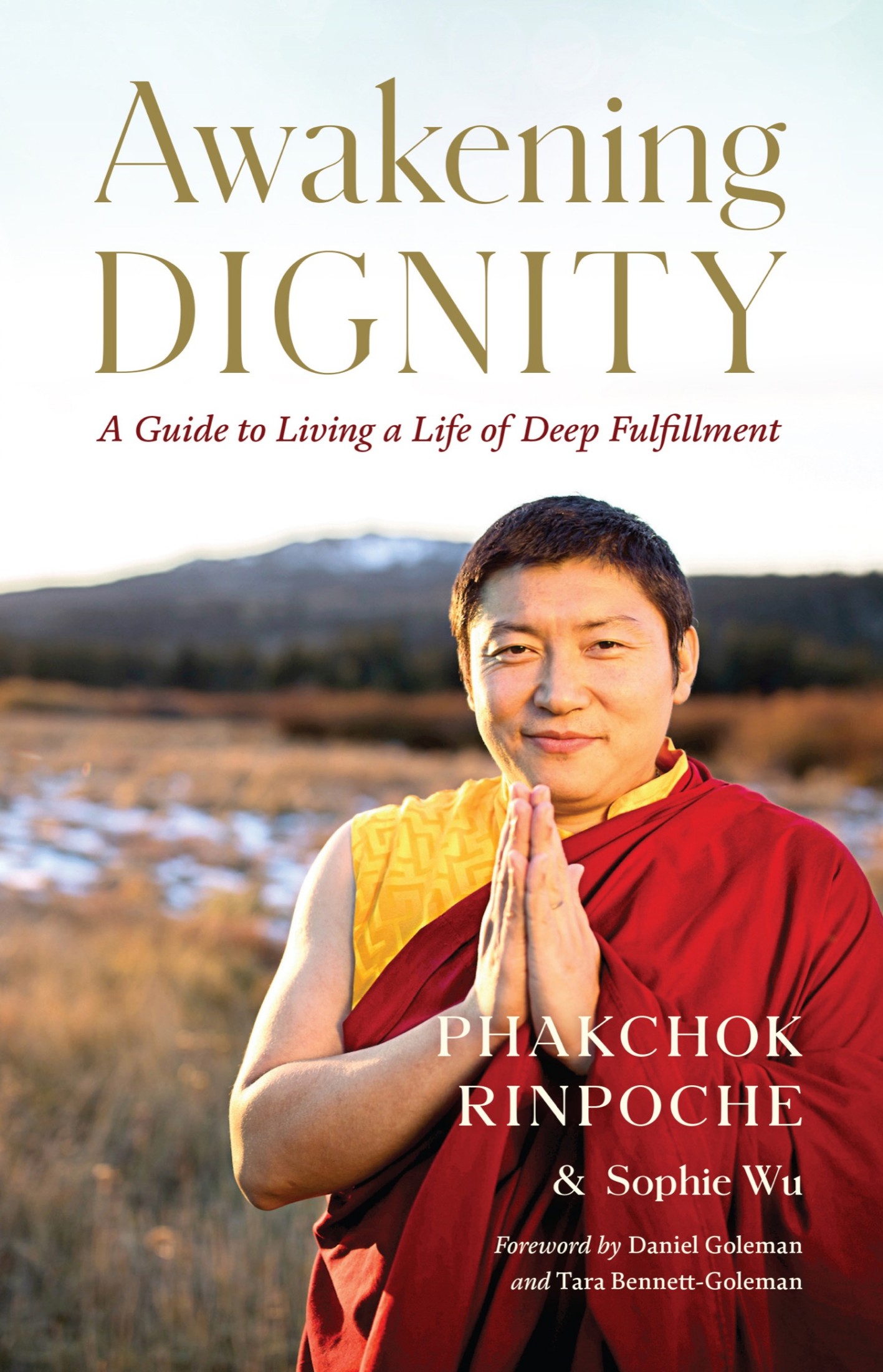 Awakening Dignity: A Guide to Living a Life of Deep Fulfillment