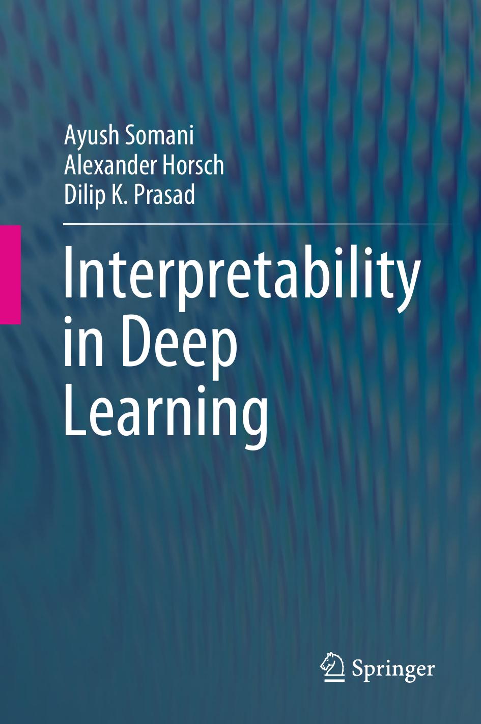 Somani A. Interpretability in Deep Learning 2023