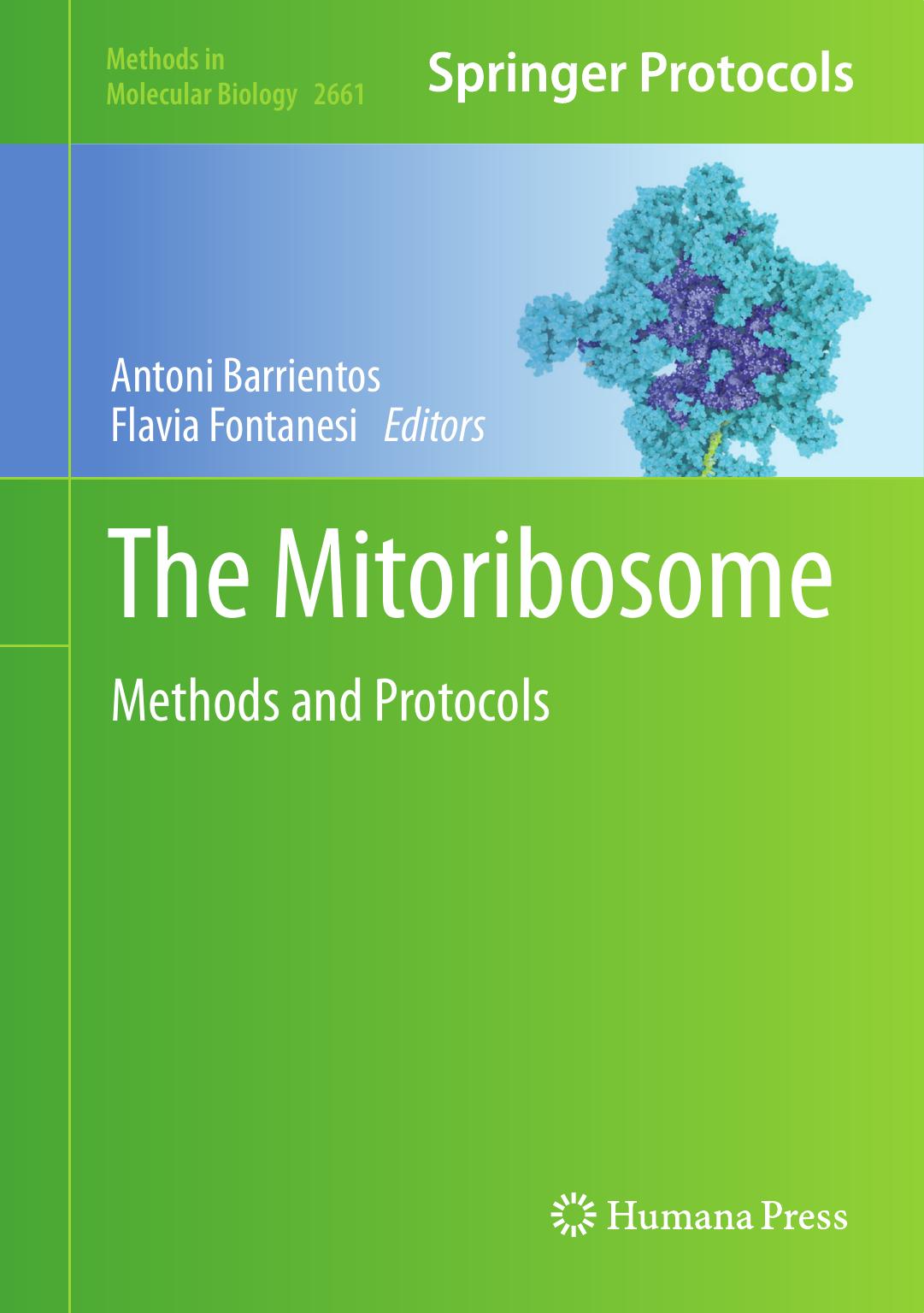 The Mitoribosome