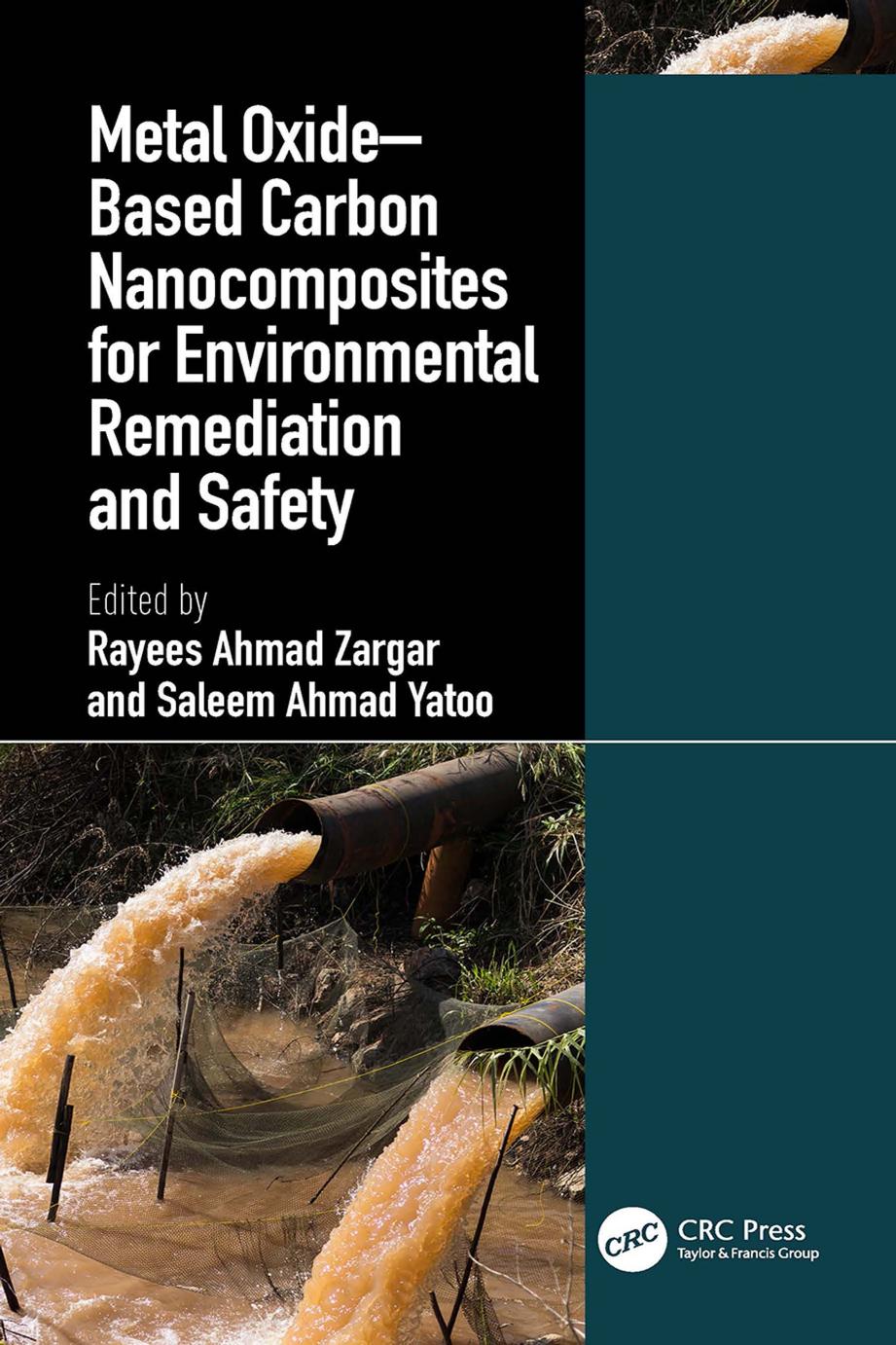 Metal Oxide–Based Carbon Nanocomposites for Environmental Remediation and Safety