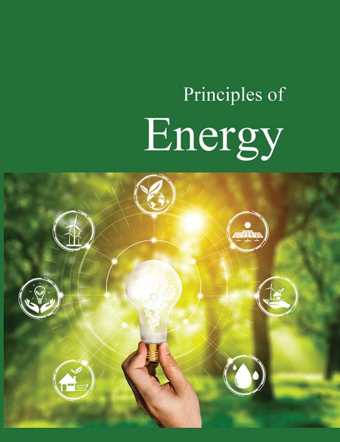 Principles_of_Energy_Body.vp