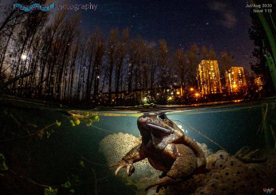 Underwater Photography