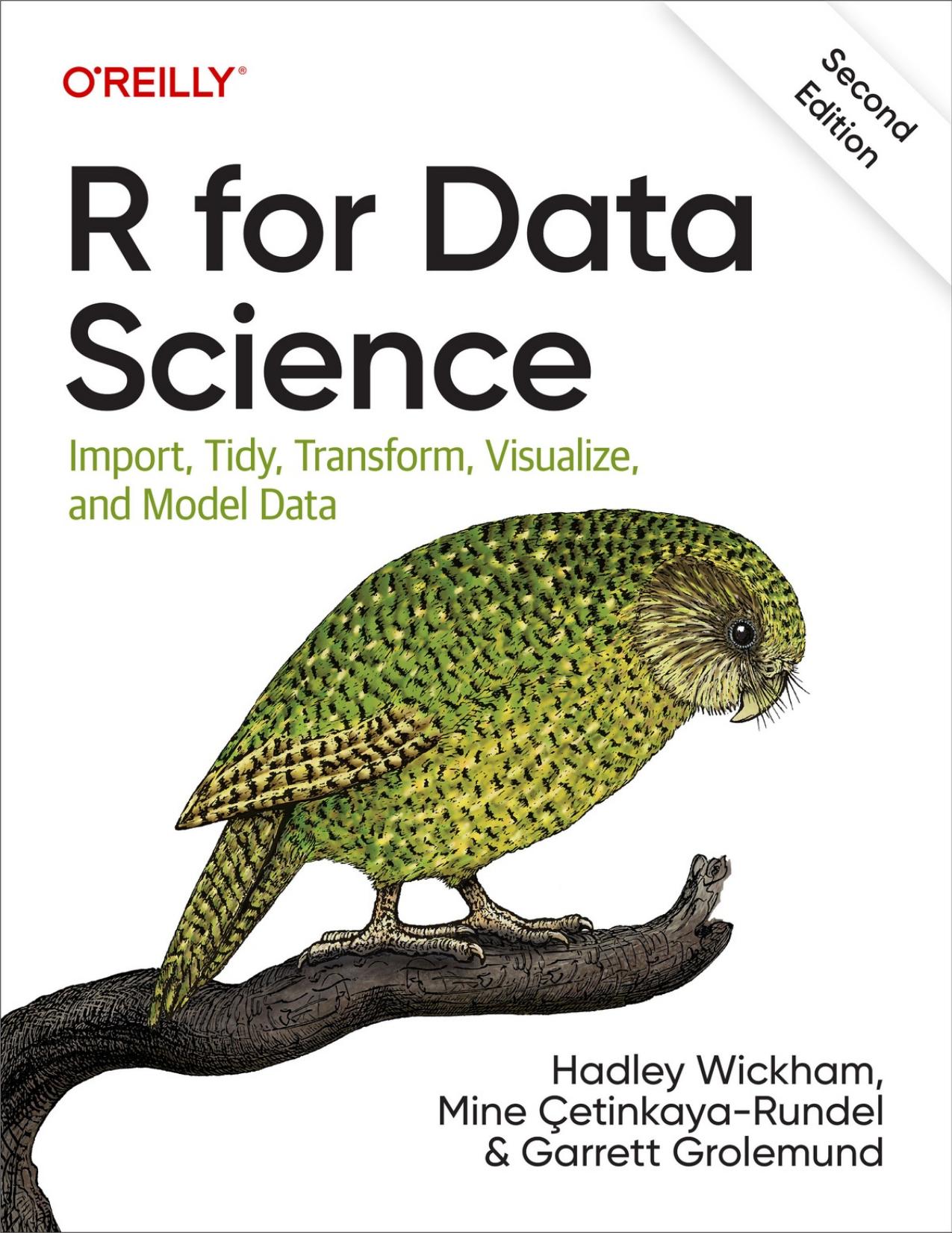 Wickham H. R for Data Science. Import, Tidy, Transform,..and Model Data 2ed 2023