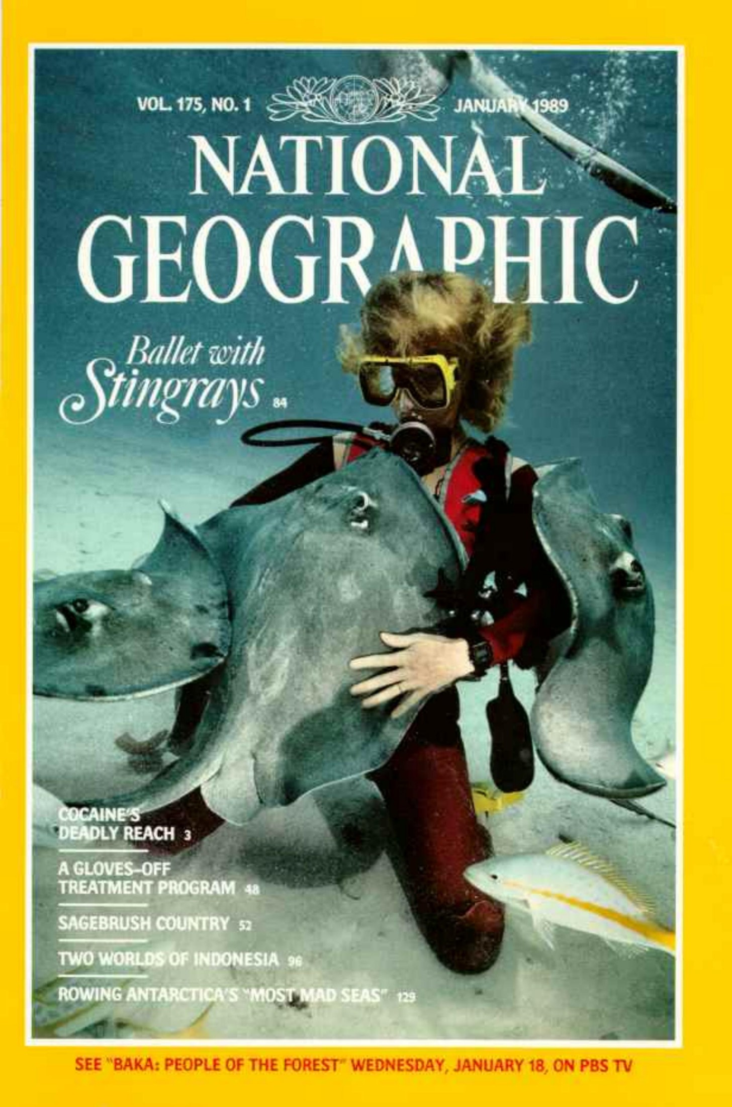 National Geographic 1989-01 175-1 Jan