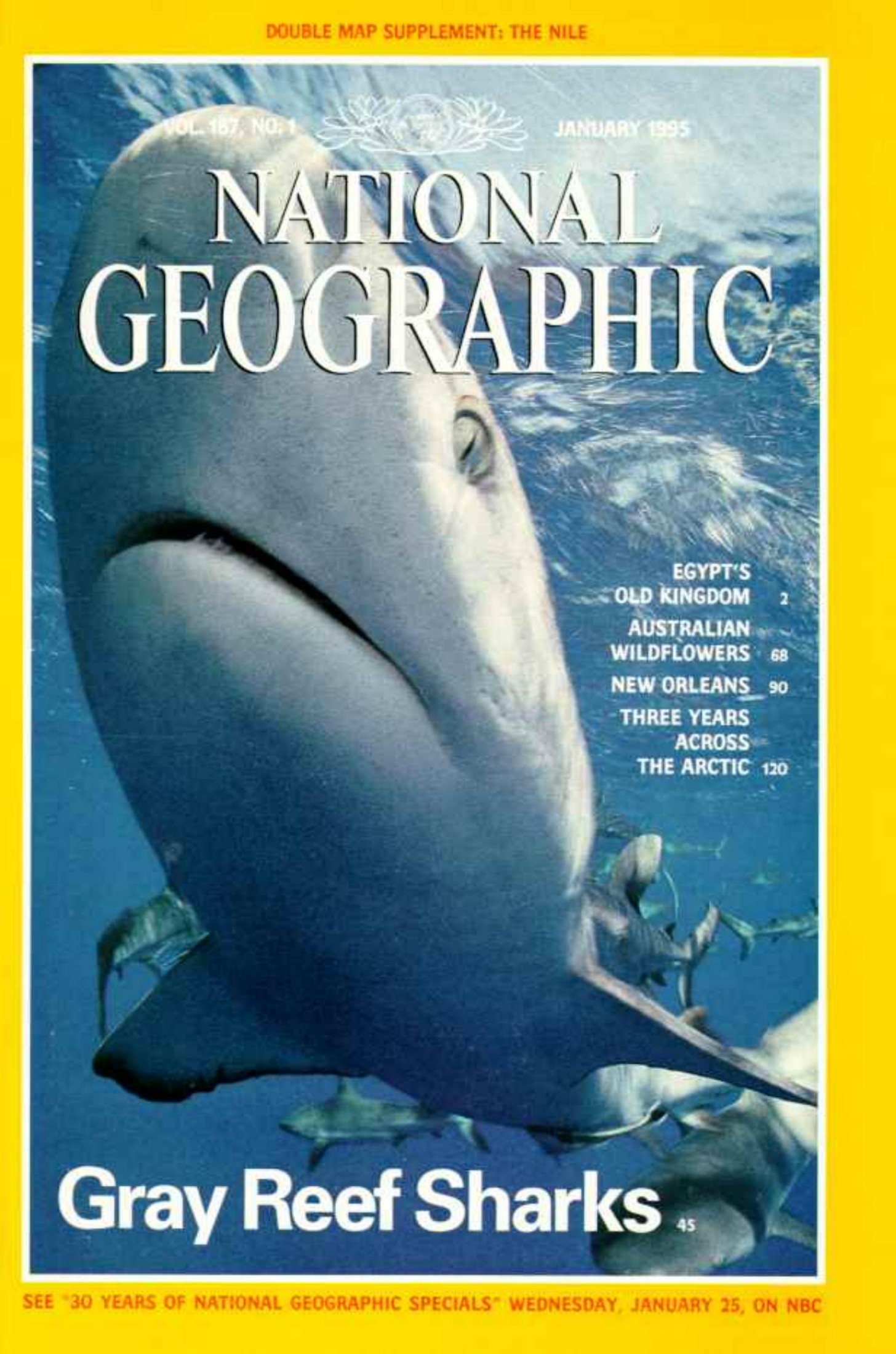 National Geographic 1995-01 187-1 Jan