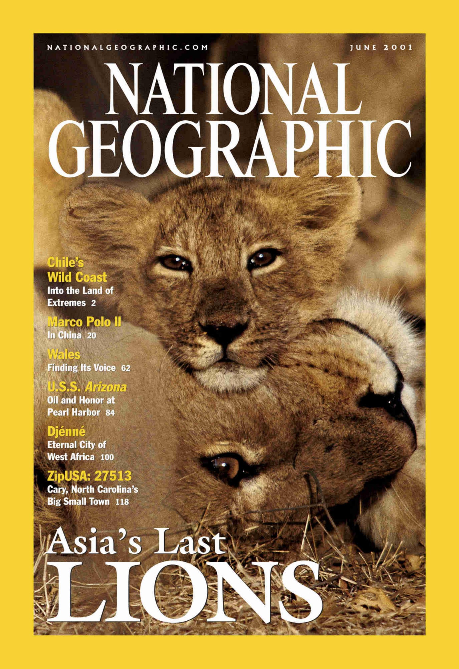 National Geographic 2001-06-01