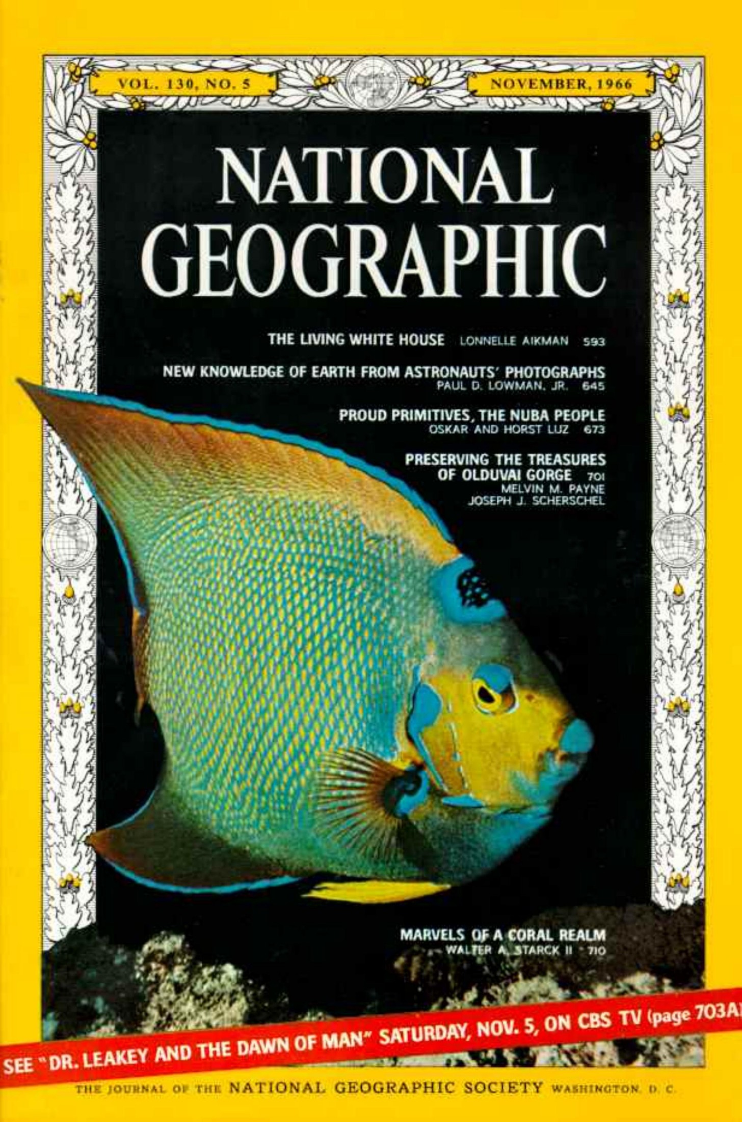 National Geographic 1966-11 130-5 Nov