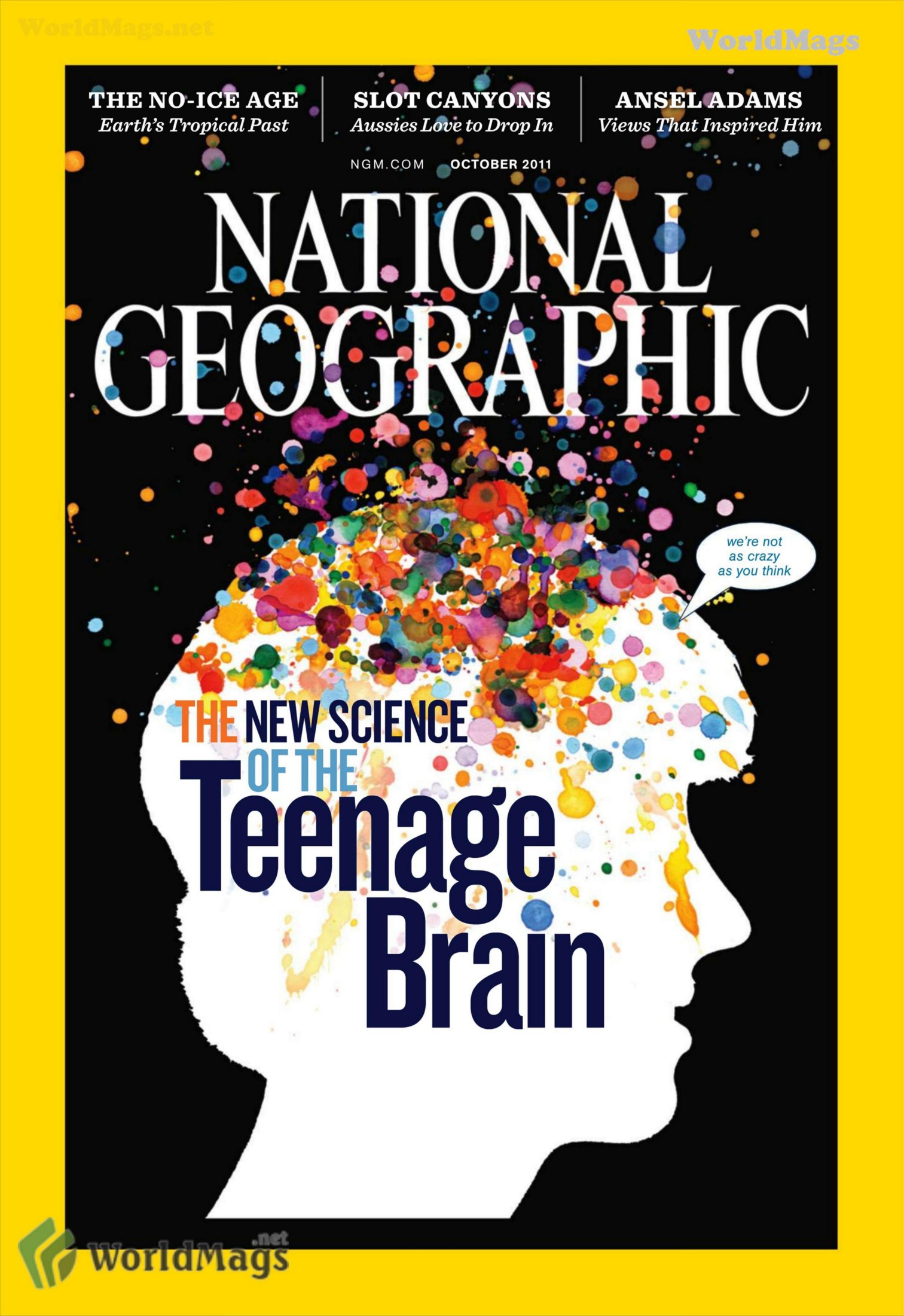 National Geographic Interactive - October 2011