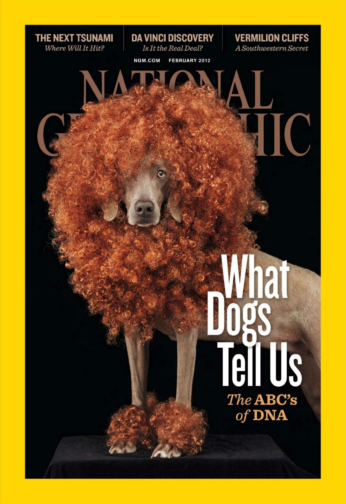 National Geographic Interactive USA - February 2012