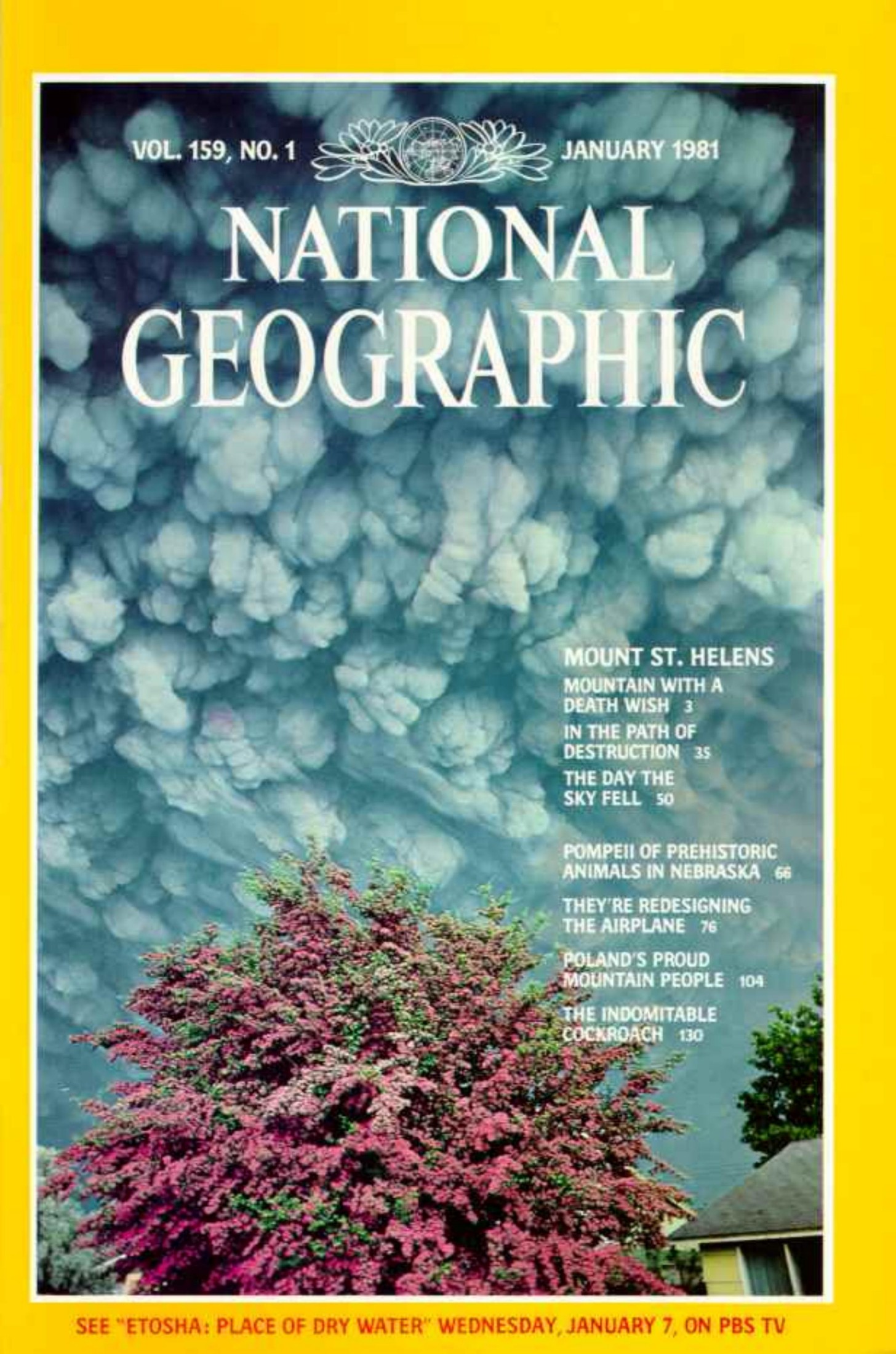 National Geographic 1981-01 159-1 Jan