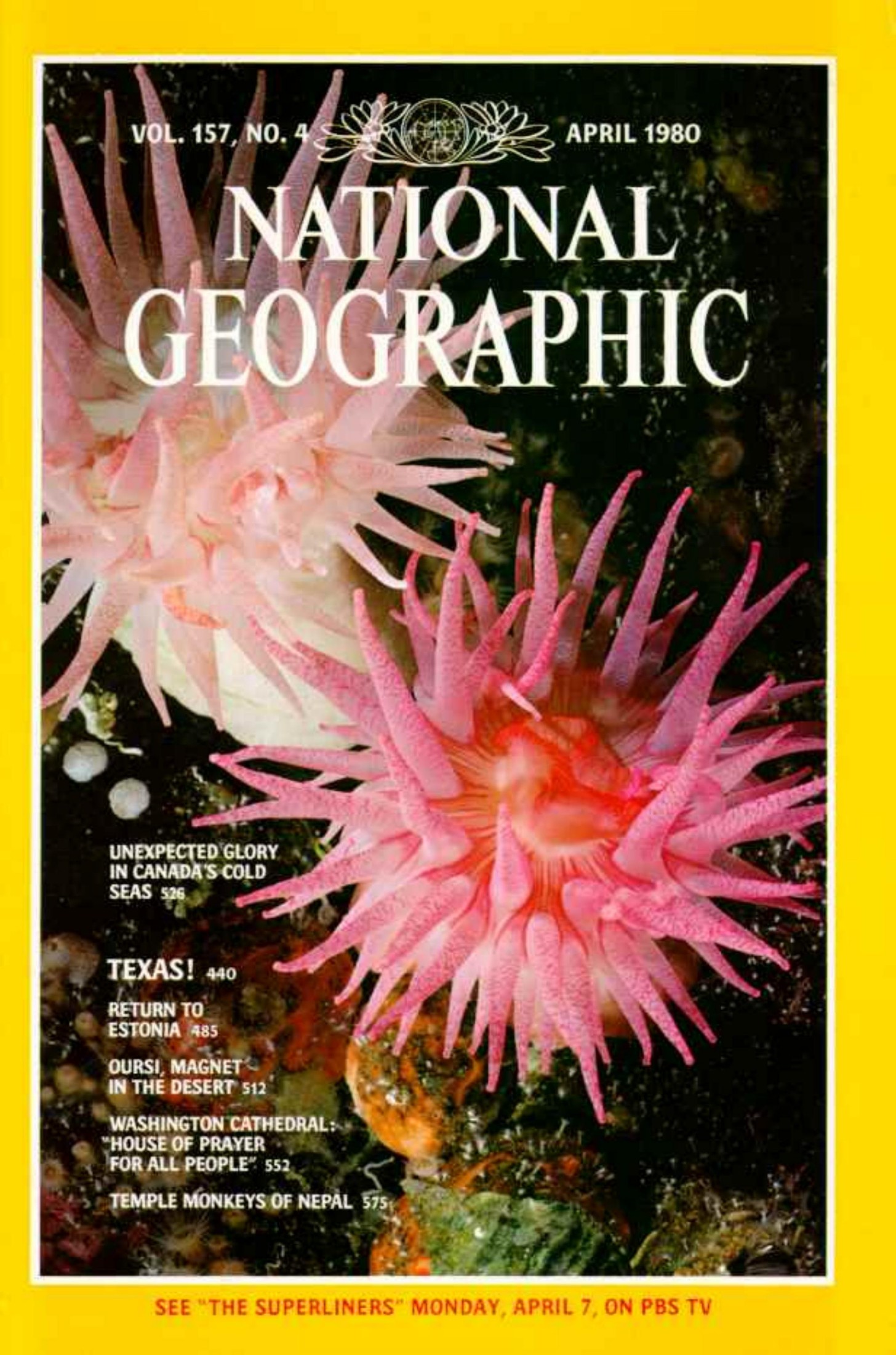 National Geographic 1980-04 157-4 Apr