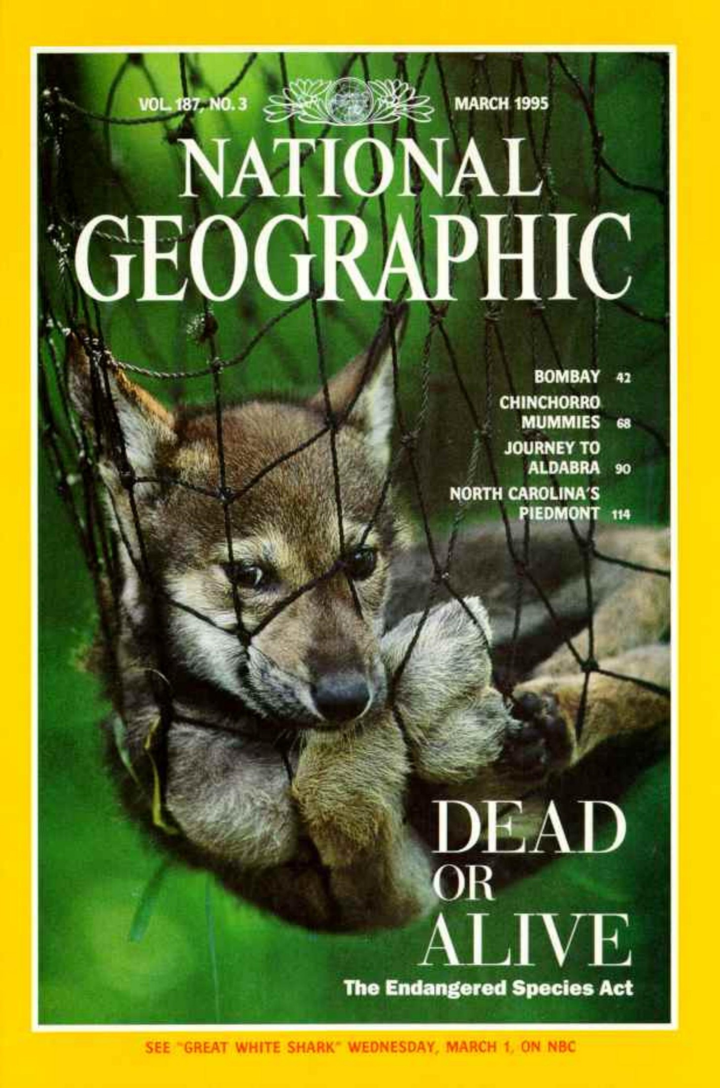 National Geographic 1995-03 187-3 Mar