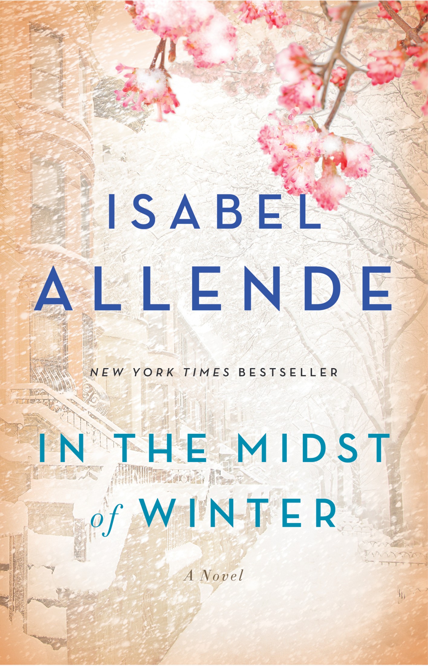 In the Midst of Winter: a Novel