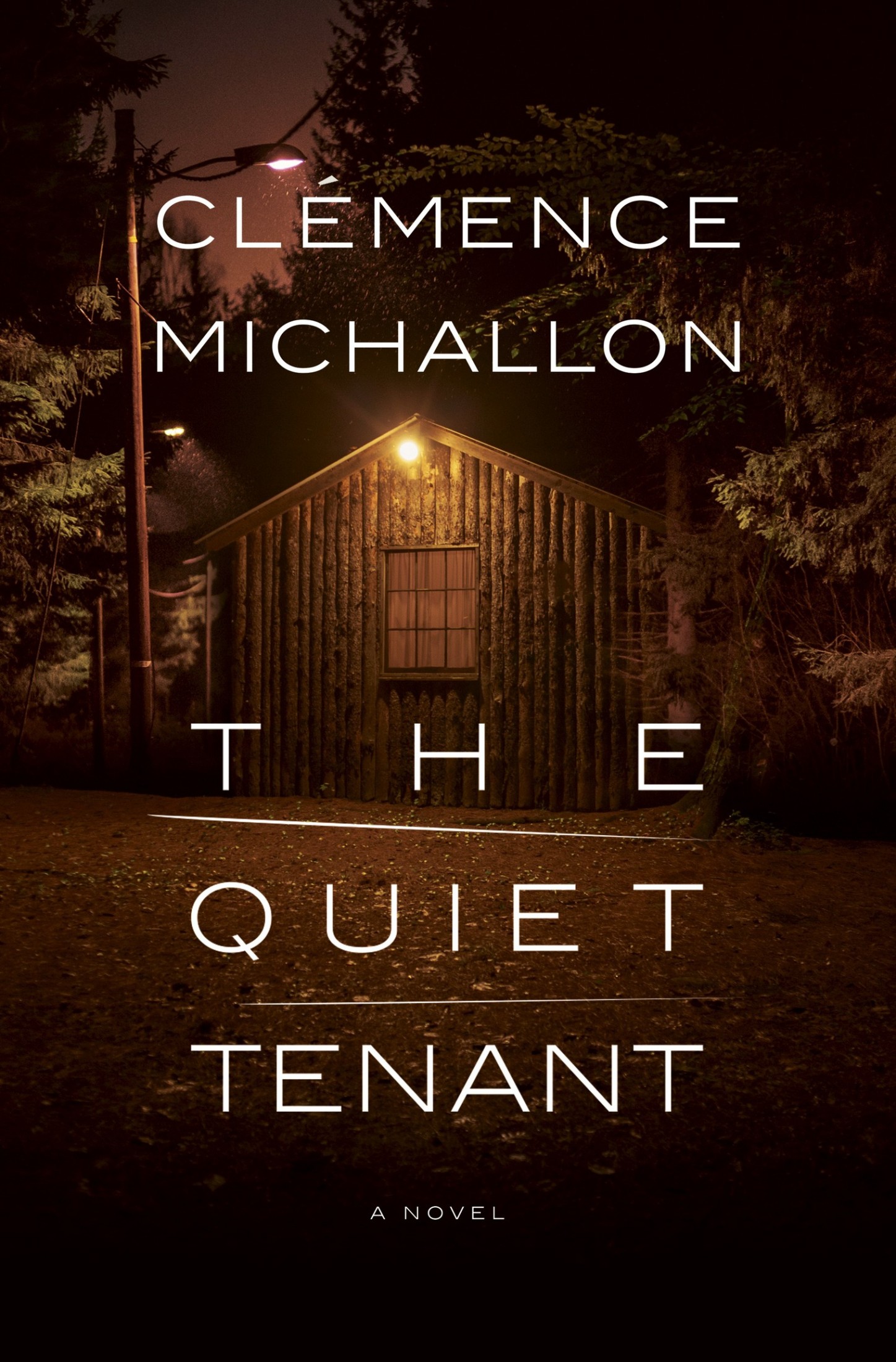 The Quiet Tenant: A novel