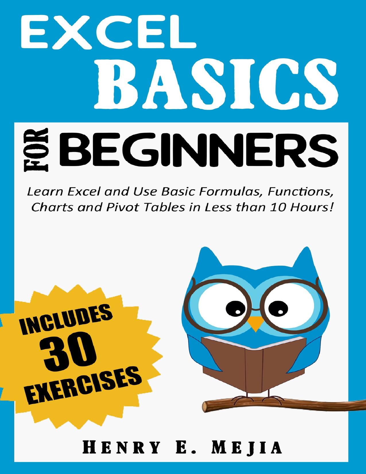 EXCEL BASICS FOR BEGINNERS: Learn Excel and Use Basic Formulas, Functions, Charts and Pivot Tables in Less Than 10 Hours!