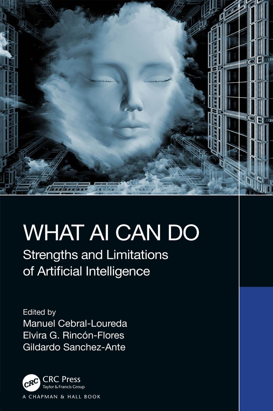 What AI Can Do: Strengths and Limitations of Artificial Intelligence