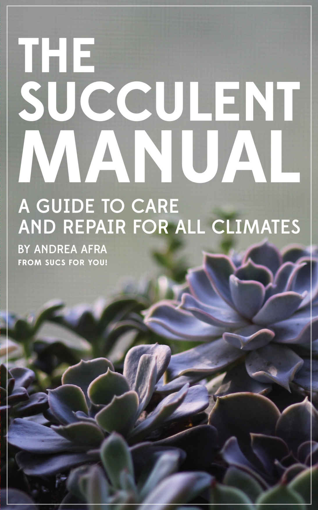 The Succulent Manual