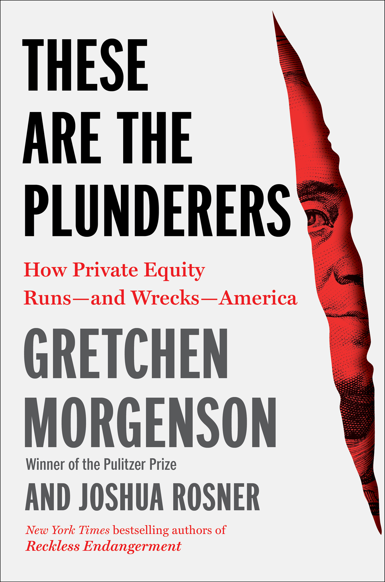 These Are the Plunderers: How Private Equity Runs—and Wrecks—America: How Private Equity Runs—and Wrecks—America