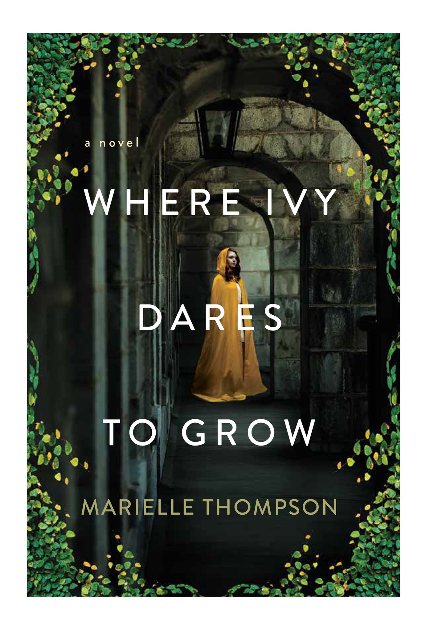 Where Ivy Dares to Grow