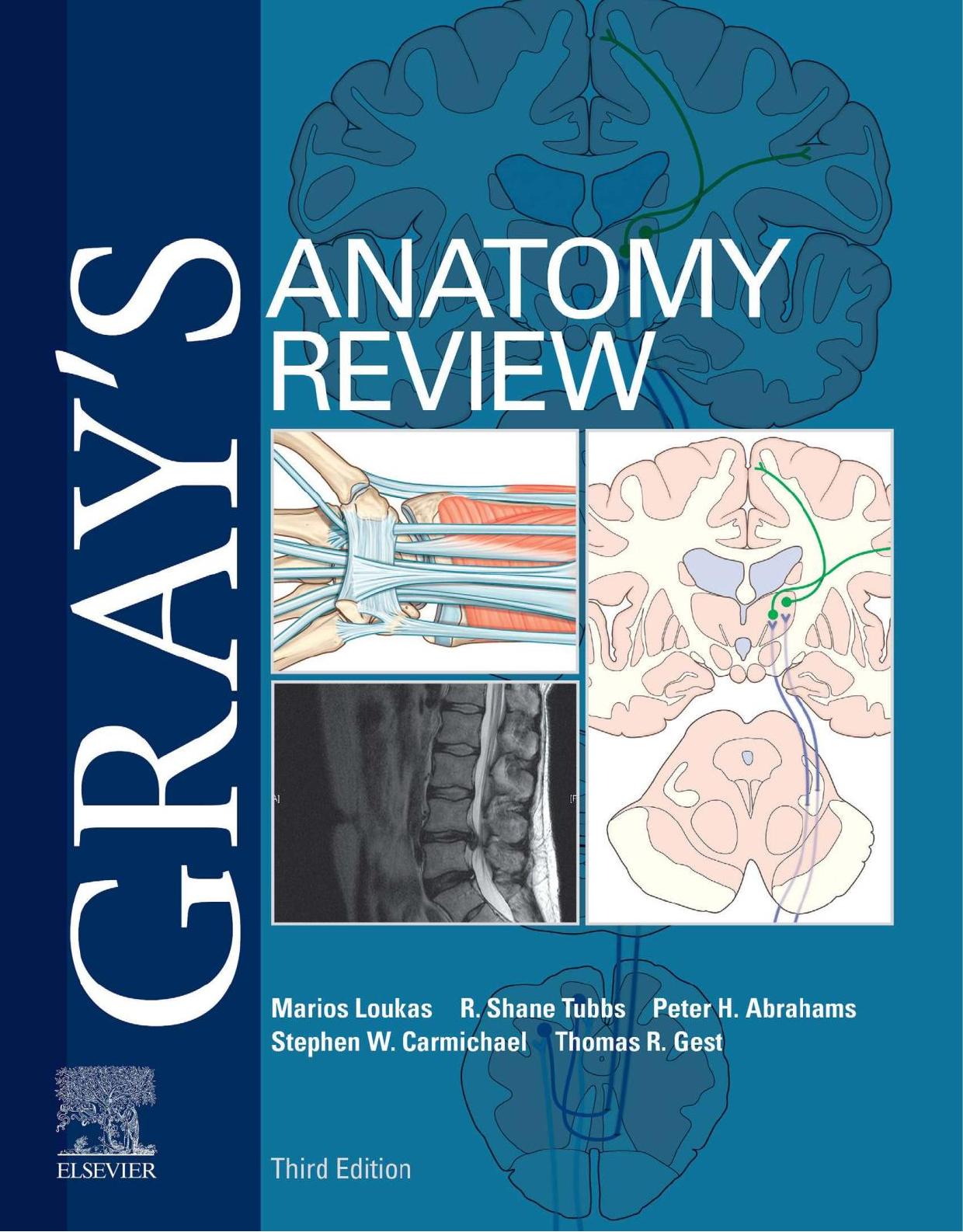 Loukas M. Gray's Anatomy Review 3ed 2022