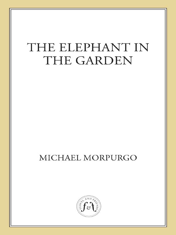 An Elephant in the Garden