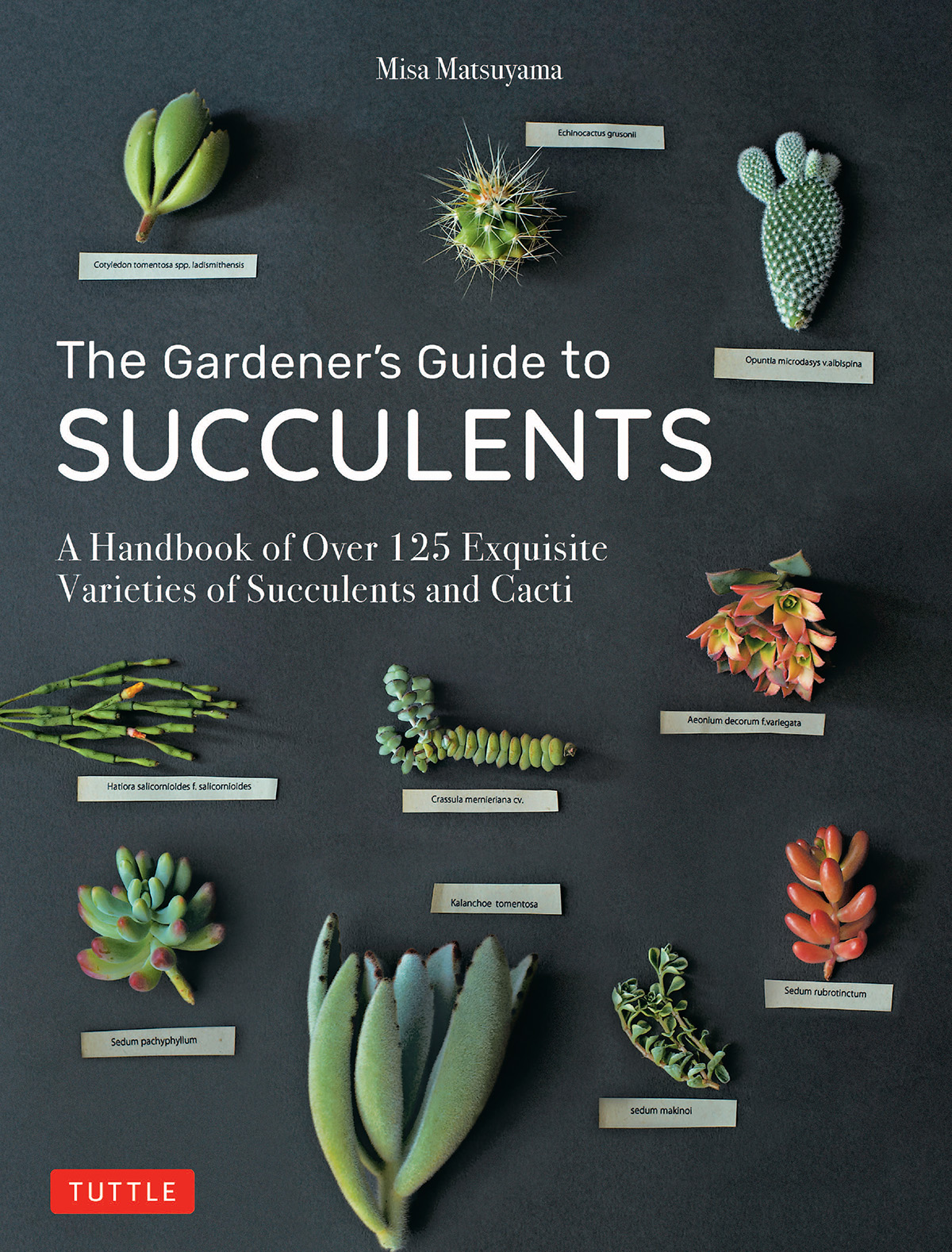 The Gardener's Guide to Succulents