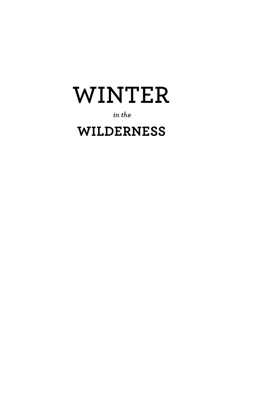 Winter in the Wilderness