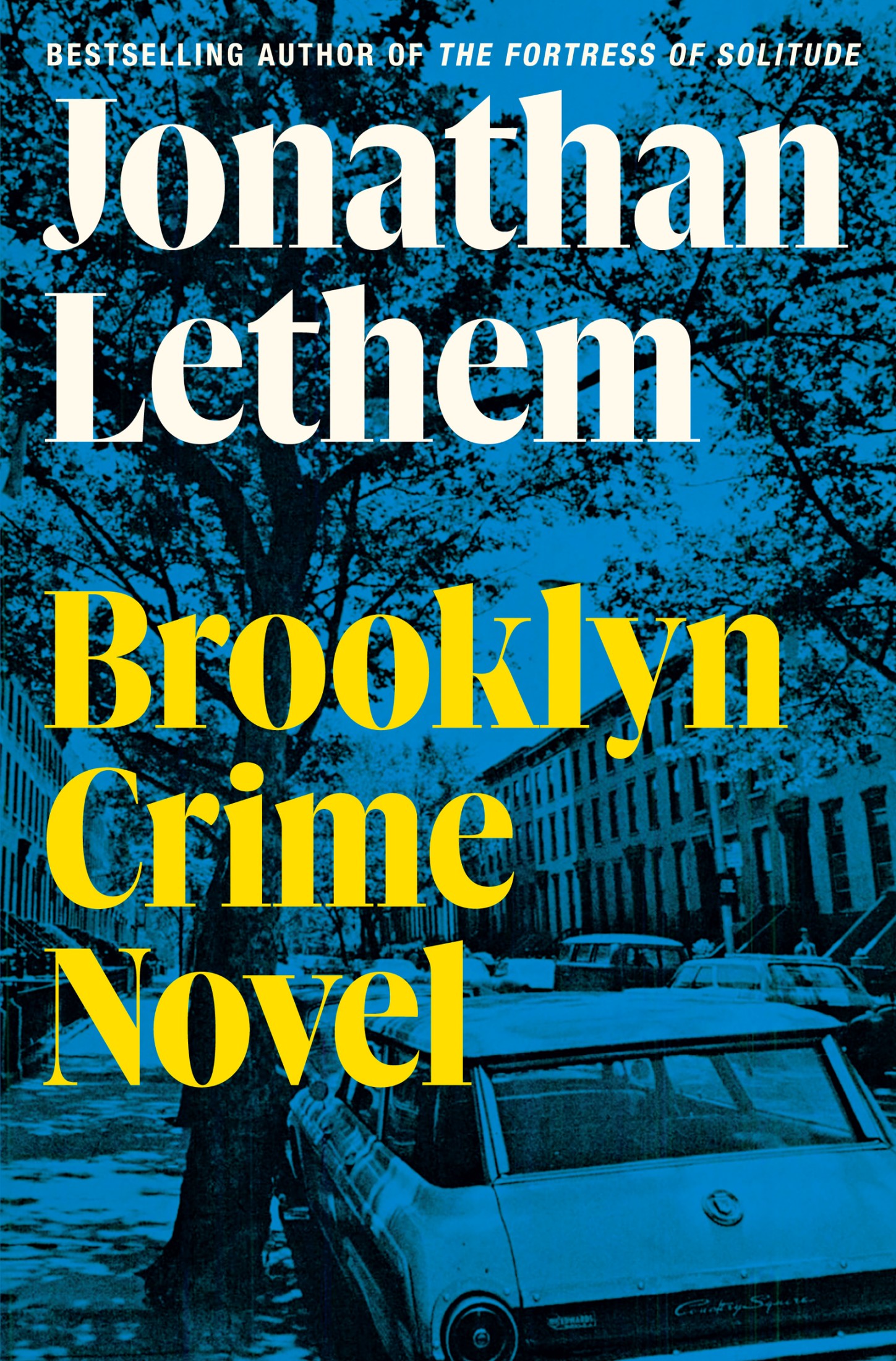 Brooklyn Crime Novel