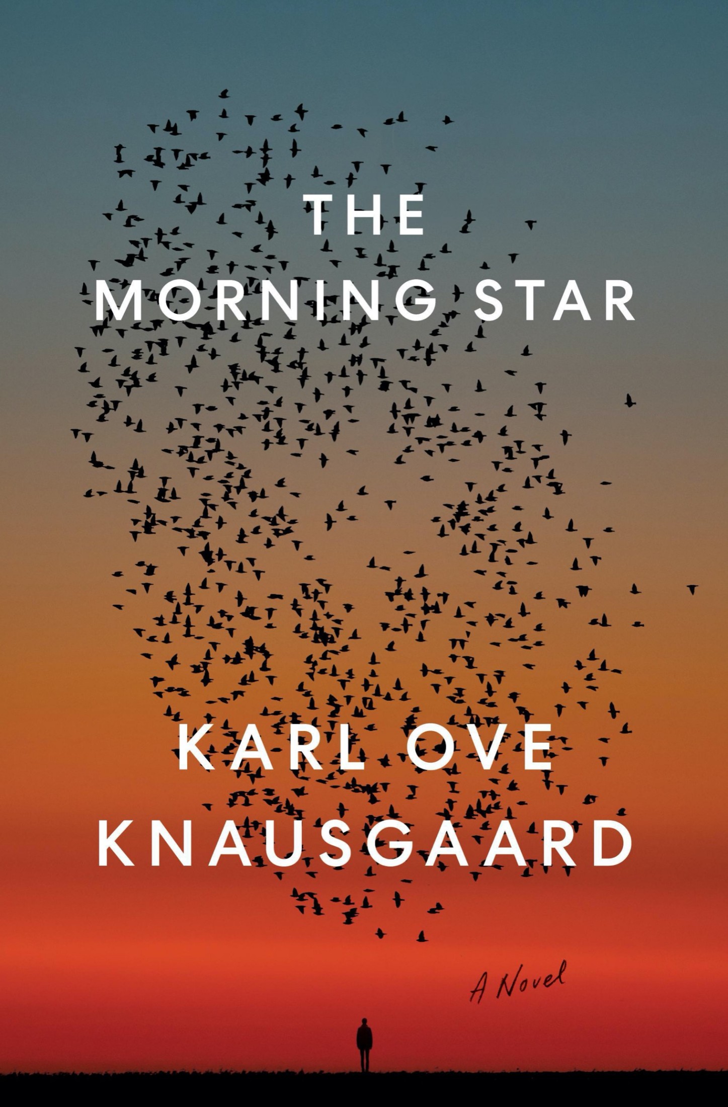 The Morning Star: A Novel