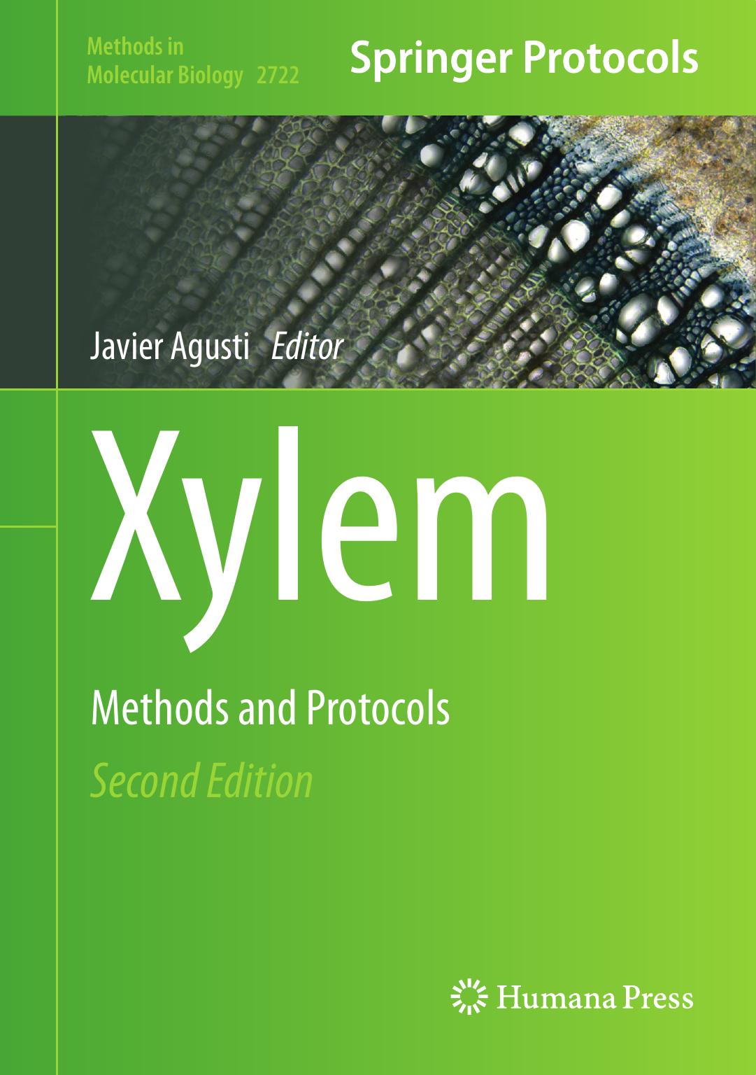 Xylem