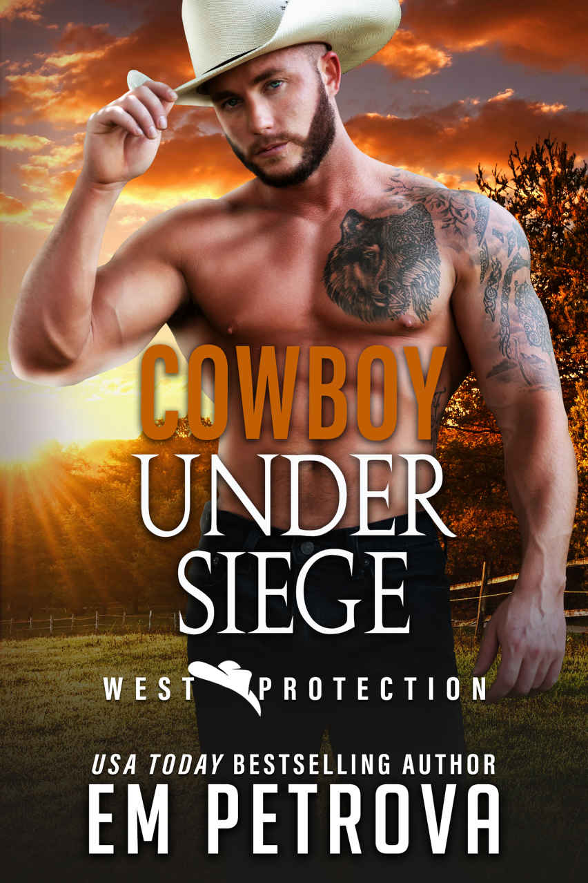 Cowboy Under Siege (WEST Protection Book 13)