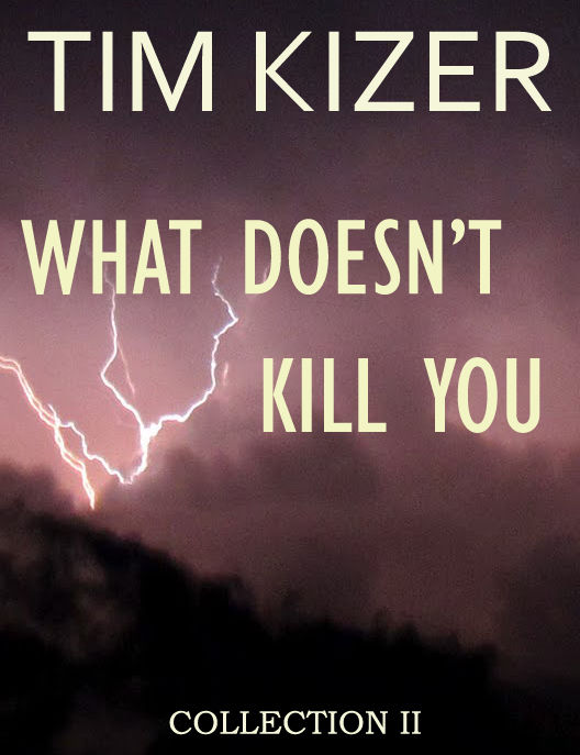 What Doesn't Kill You (A Suspense Collection)