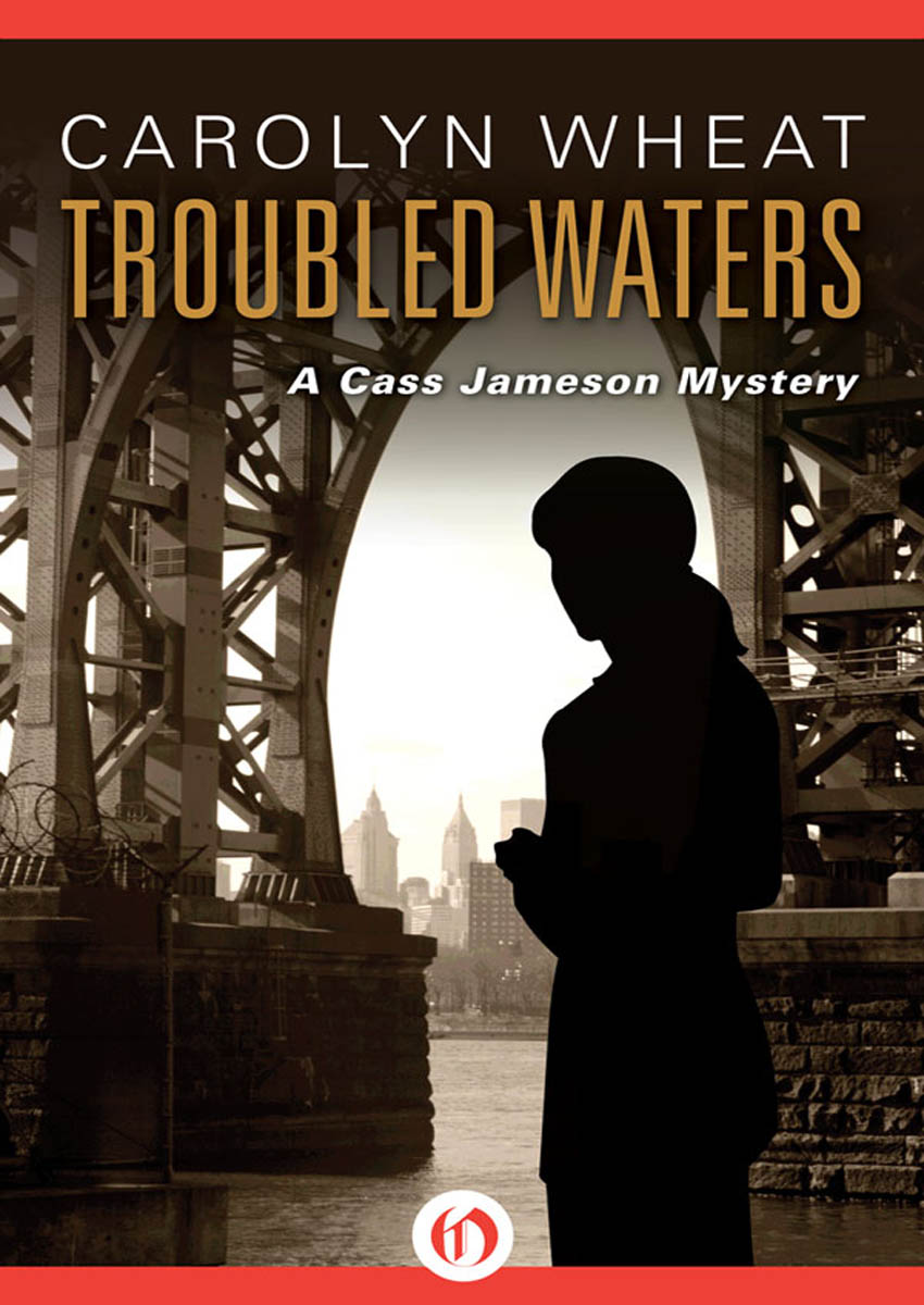 Troubled Waters (The Cass Jameson Mysteries Book 5)