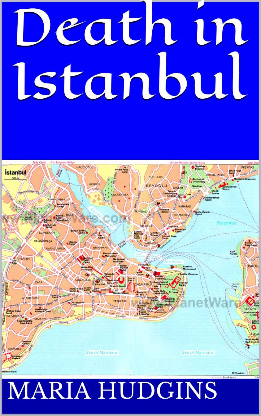 Death in Istanbul (Dotsy Lamb Travel Mystery Book 6)