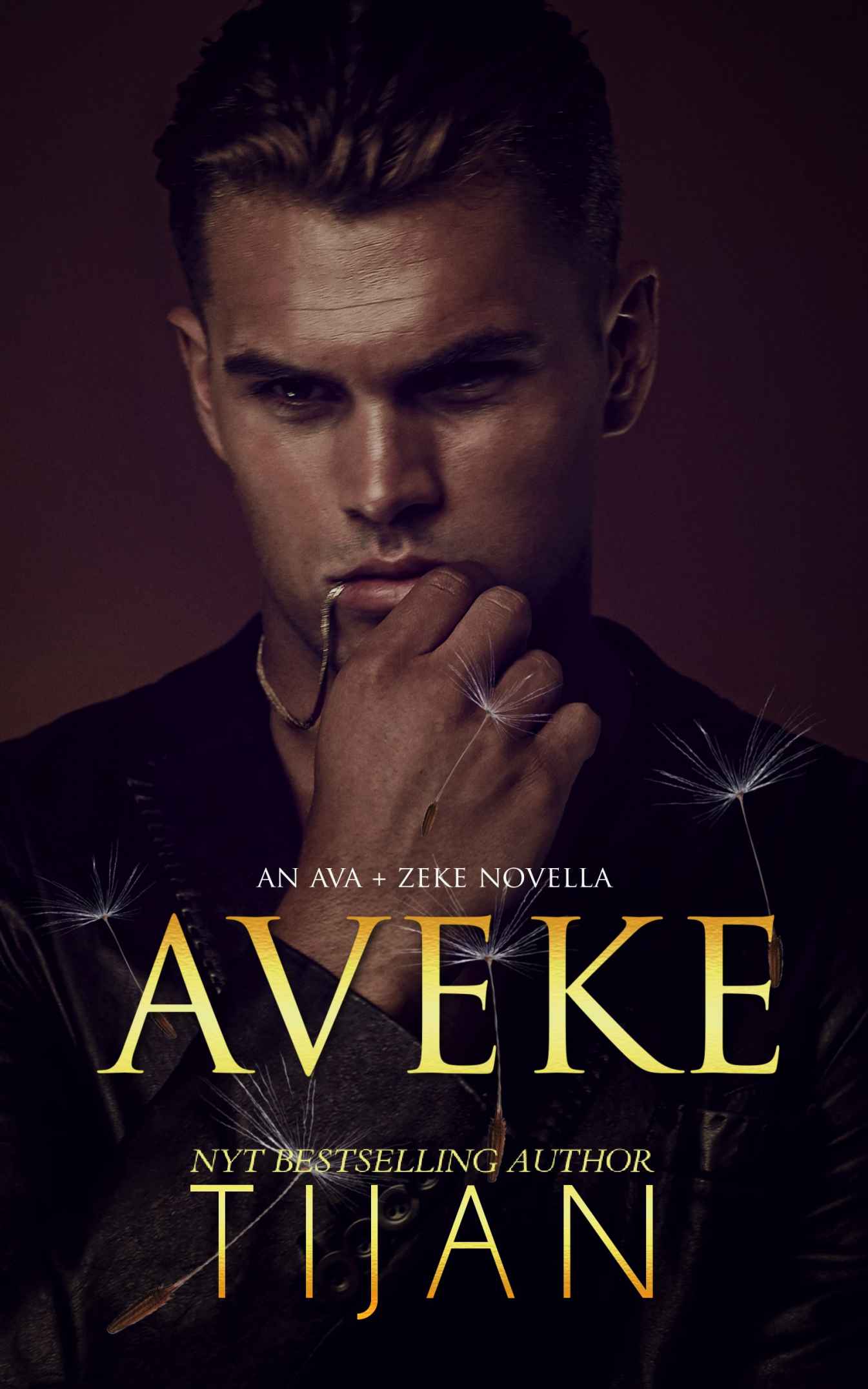 AVEKE: AN AVA AND ZEKE NOVELLA