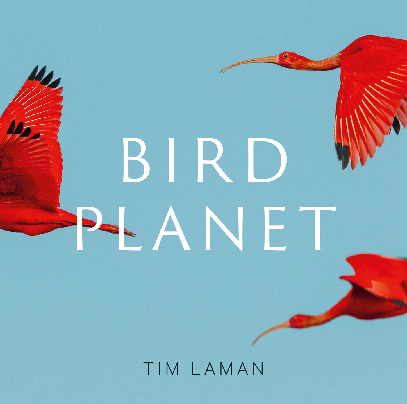 Bird Planet