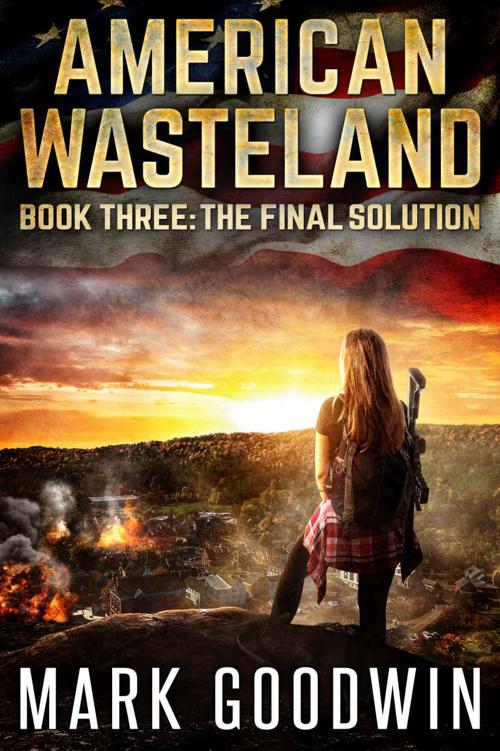 The Final Solution: A Post-Apocalyptic Tale of America's Impending Demise (American Wasteland Book 3)