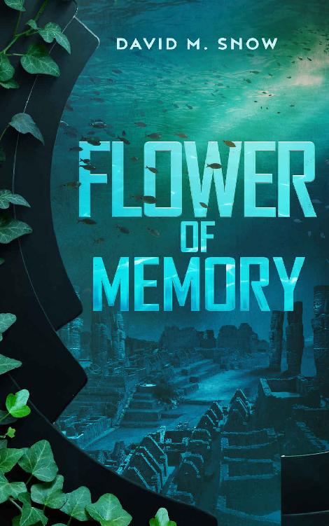 Flower of Memory: An Amaranth Prequel