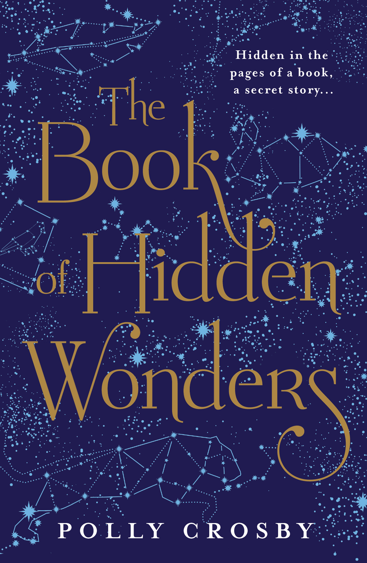 The Book of Hidden Wonders